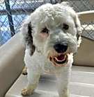 Photo of Gunther