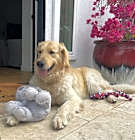Photo of Makai