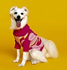 Photo of Dottie