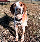 Photo of Lee