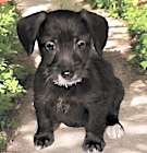 Photo of Avery