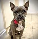 Photo of Bally (aka Mimi)