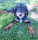 Photo of Susie