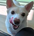 Photo of Binnie
