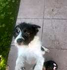 Photo of Rufino