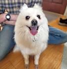 Photo of Kiki (Korea)