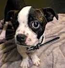 Photo of Waylon