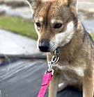 Photo of Sori