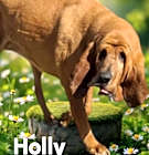 Photo of Holly
