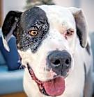 Photo of Zena A2019230