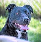 Photo of 🖤 BEAR 😔