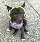 Photo of Osita (little bear)