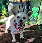 Photo of Grandma Dolly Mae
