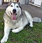 Photo of Yuki