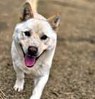 Photo of Happy
