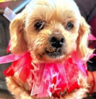 Photo of Connie