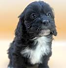 Photo of MACY