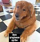 Photo of Ben