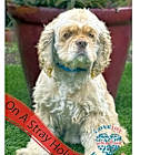 Photo of MB Bogey