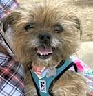 Photo of GINGER