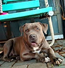 Photo of Chiquis