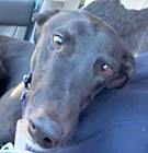 Photo of Wally