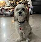 Photo of Skippy