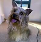 Photo of Mochi
