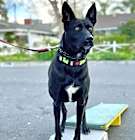 Photo of Lucy