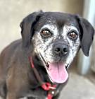 Photo of MABLE