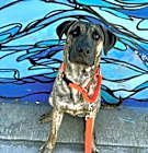 Photo of SAMSON