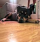 Photo of Zuko