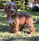 Photo of Zoe
