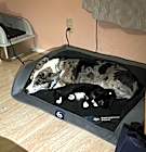 Photo of walle