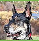 Photo of Thor