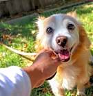Photo of BUDDY