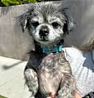Photo of Sunny