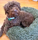 Photo of Ella