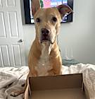 Photo of Penny