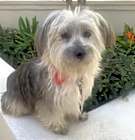 Photo of ELODIE