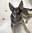 Photo of Ruby