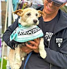Photo of Buddy