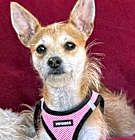 Photo of Maggie Mae/Courtesy Post