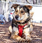 Photo of Kiara