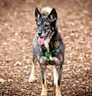 Photo of Kita