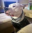 Photo of Nieve