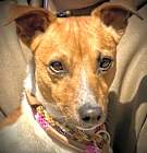 Photo of Murray JRT