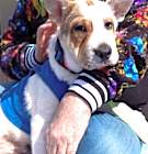 Photo of BENTLEY