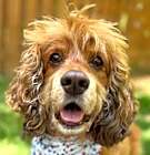 Photo of Arthur