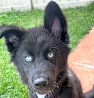 Photo of Azure